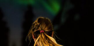 College Basketball Betting After Injuries: Winning Strategies Revealed