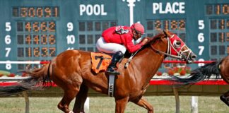 How To Build A Winning Sports Betting Strategy That Truly Works