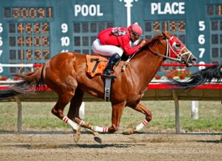 How To Build A Winning Sports Betting Strategy That Truly Works