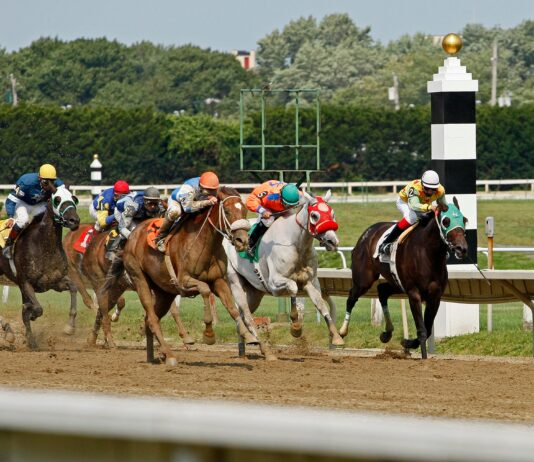 How Sports Betting Works: Discover Expert Tips to Win Big