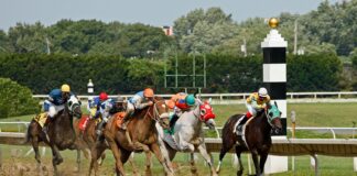 How To Read A Racing Form For Sports Betting: Expert Tips Revealed