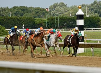 How To Use Statistics In Sports Betting To Boost Your Wins