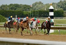 MLB Betting in Pennant Race: Secrets to Winning Big Today