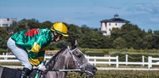 How To Identify Value Bets In Sports Betting: Expert Tips Revealed