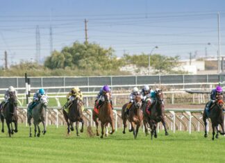 Daily Horse Racing Sports Betting Picks: Expert Tips To Win Big