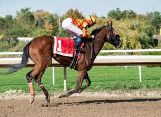 NFL Week One Betting Predictions: Expert Tips To Boost Your Wins