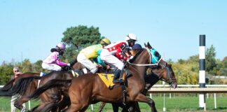 Grand Slam Sports Betting Predictions: Unlock Winning Secrets Today