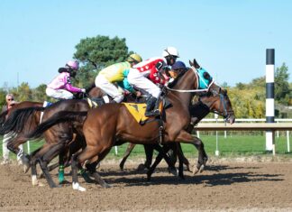 Grand Slam Sports Betting Predictions: Unlock Winning Secrets Today