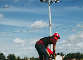 Is Sports Betting Profitable? Discover The Real Truth Today