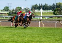 Best Sports Betting Picks for the Kentucky Derby: Insider Secrets Revealed