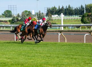 Best Sports Betting Picks for the Kentucky Derby: Insider Secrets Revealed