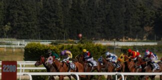 Horse Racing Sports Betting 101: Ultimate Guide To Winning Big