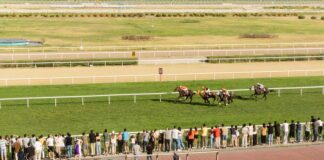Live Sports Betting At The Track: Expert Tips To Win Big