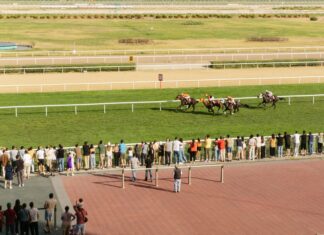Live Sports Betting At The Track: Expert Tips To Win Big