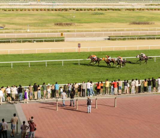 Live Sports Betting At The Track: Expert Tips To Win Big Home