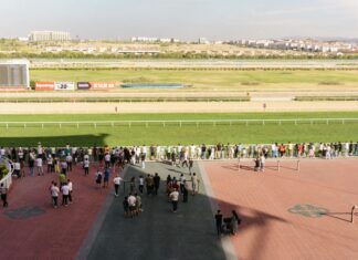 NHL Betting Against The Public: Secrets To Outsmart The Crowd