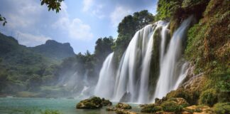 Best Free Bet Offers From Legal Sportsbooks: Unlock Winning Secrets