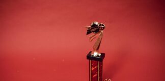 Best Sportsbooks For MLB Betting: Which Sites Offer Top Odds?