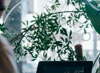 NFL Betting Using DVOA Stats: Unlock Winning Strategies Today