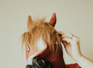 NHL Stanley Cup Odds Breakdown: Which Teams Are True Contenders?